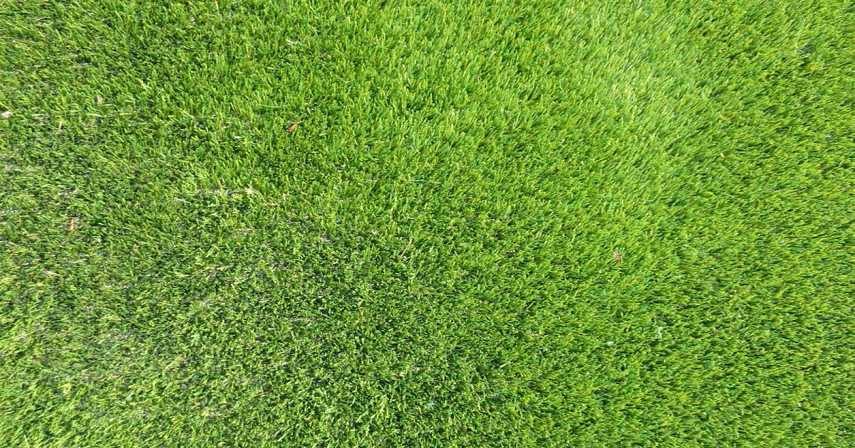 THE ADDENDUM BLOG MISTER ASTROTURF