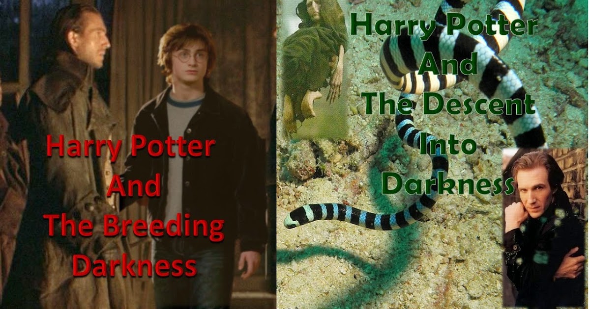 Fanfiction from a Slash Fan Harry Potter and the