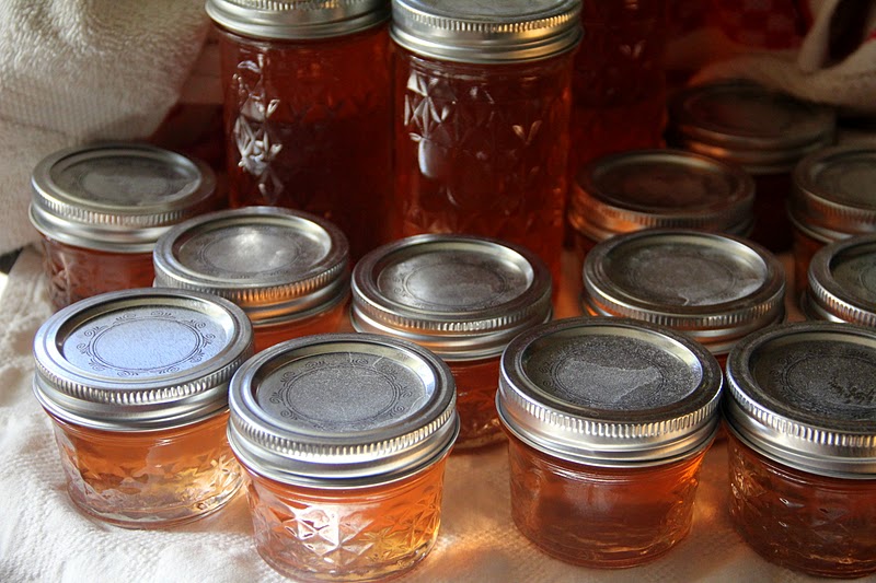 More Fun With An Apron Apple Peel and Apple Core Jelly!