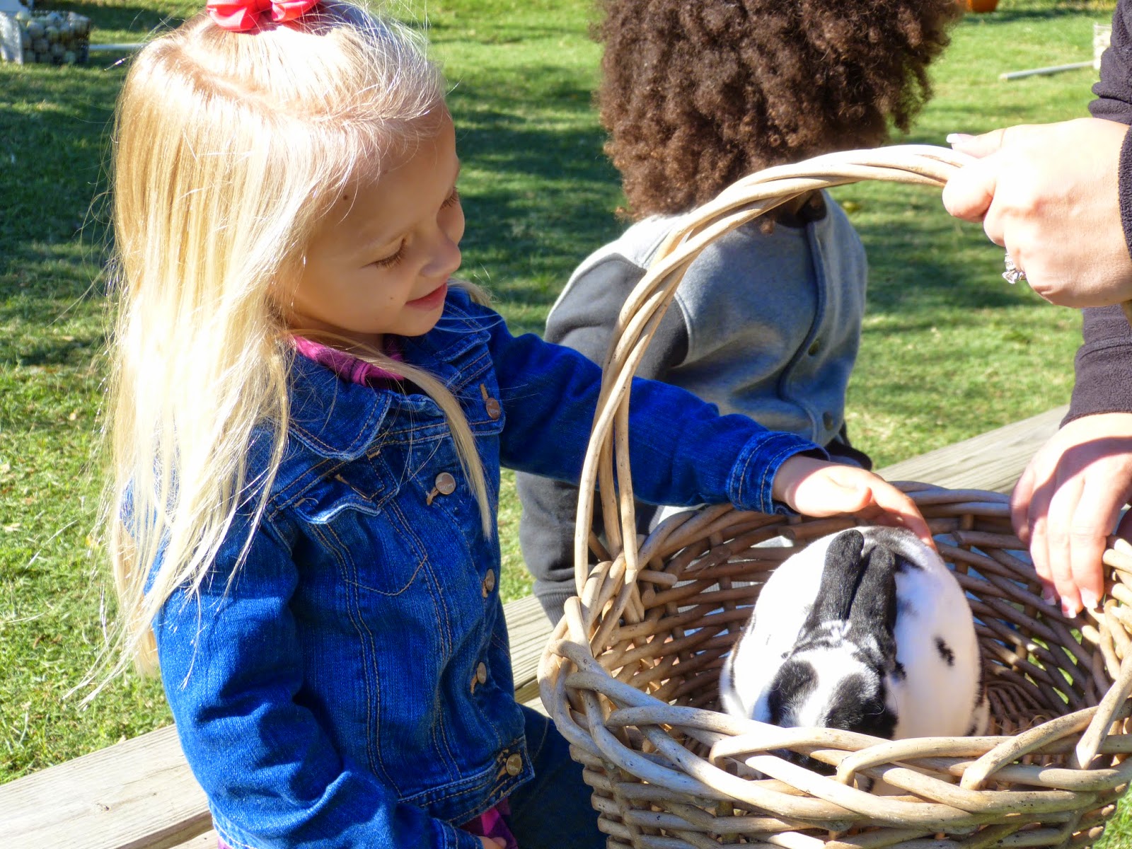 Paula's Primary Classroom Lowes Miniature Farm Field Trip!