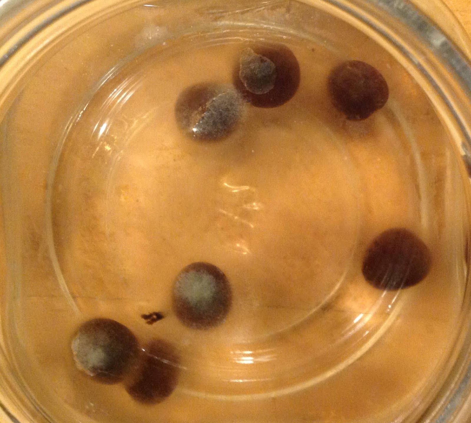 Goode Eates I Love Olives (But not like this!)