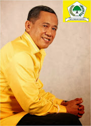 Ir. H. Zulfadhli, MM