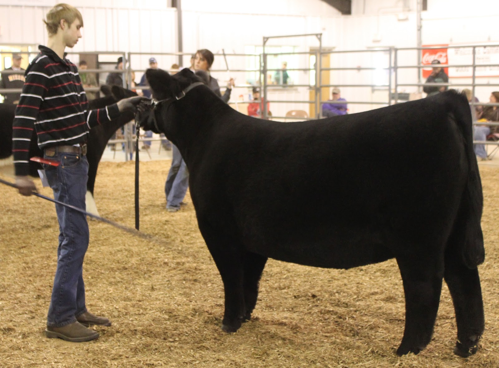 MITTAG Blog Chillicothe MO Day 2