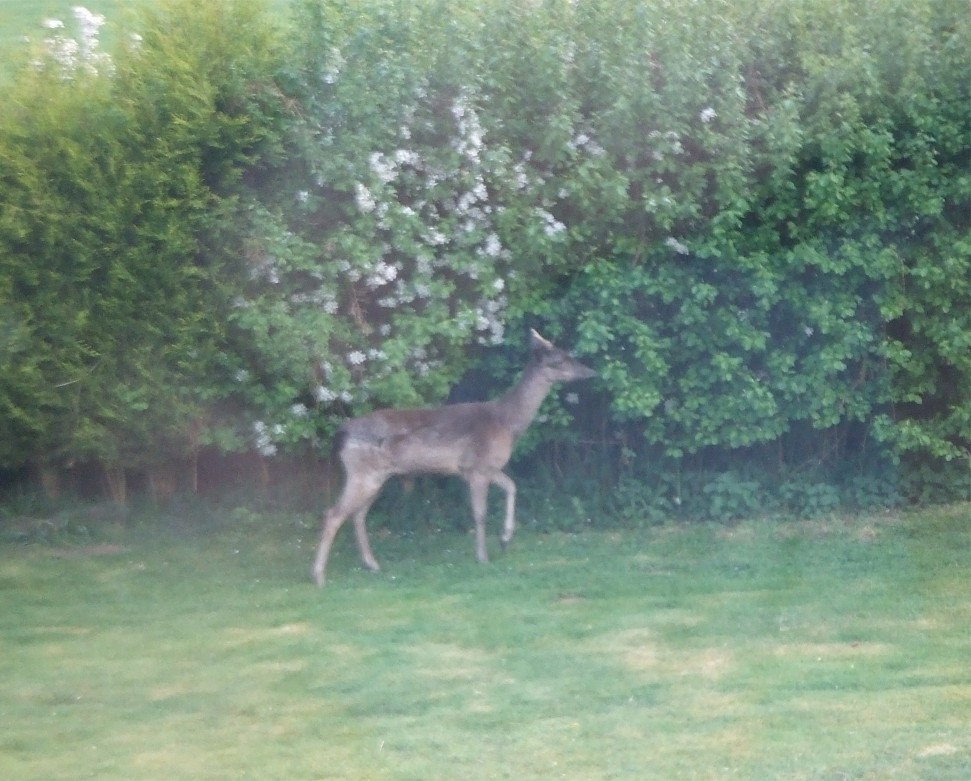 Christine's Cards and Crafts: September 2012