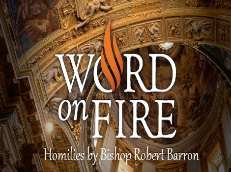 AUDIO HOMILIES & Related Resources  by Bishop Robert Barren