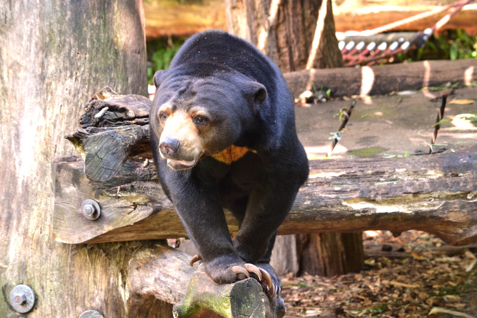 Lenas Sofa: Ein Besuch im Allwetterzoo Münster