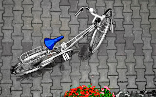 Vintage Bicycele Selective Color Flowers Photography HD Wallpaper 