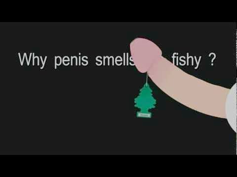 Agencies Ukraine Marriage Agencies Russian Why Does Penis Smell