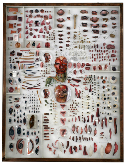 scientific specimens