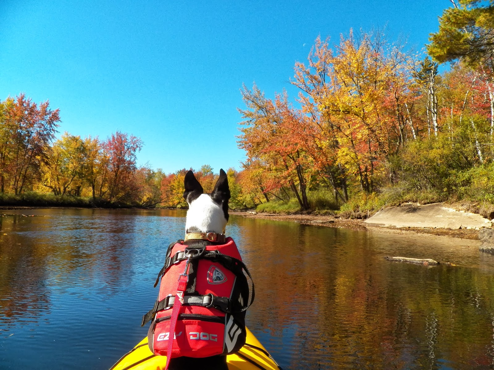 Quiet Kayaking in New York State Raquette River, Part 1