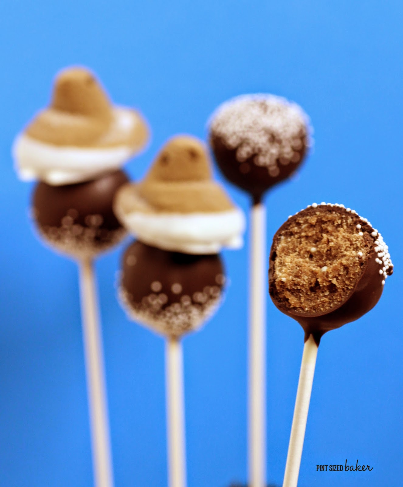 Easy Hot Cocoa Cookie Pops. Ready to go ASAP!
