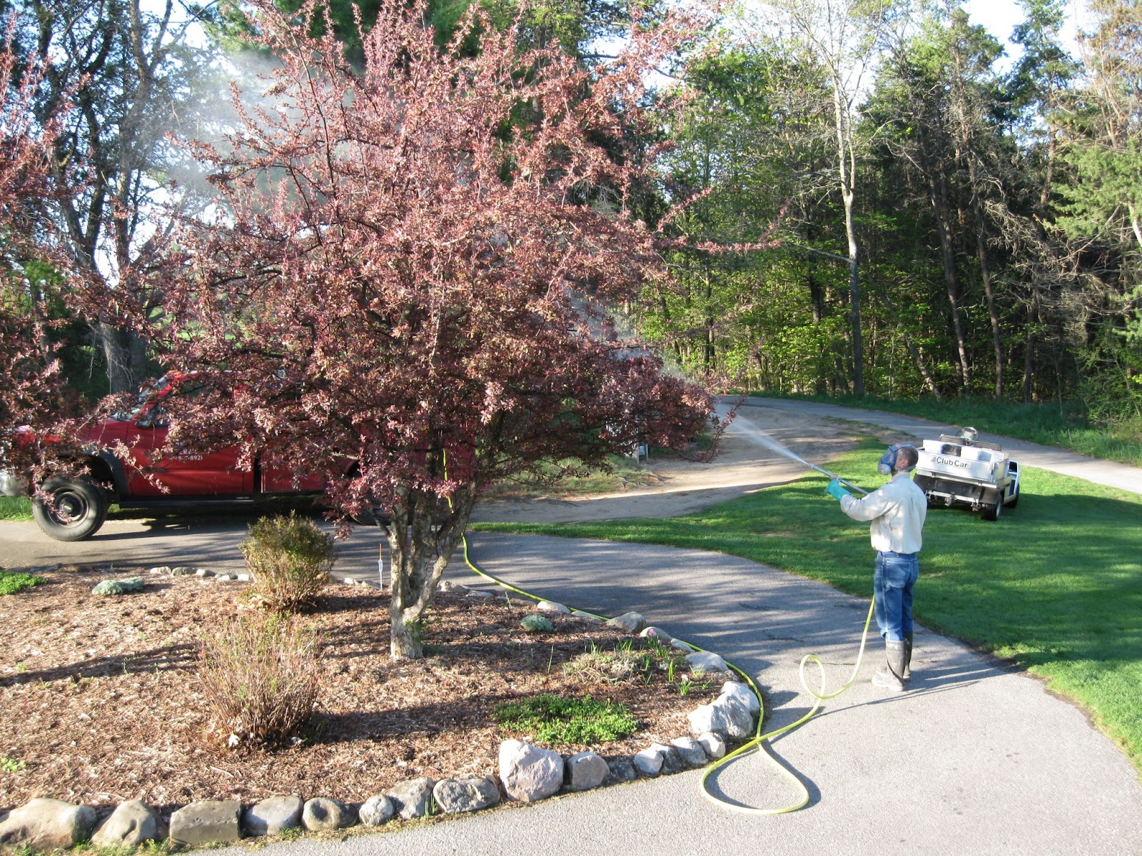 TCGCC Grounds Blog Apple Scab Spray