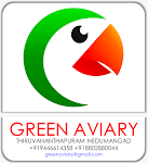 GREEN AVIARY