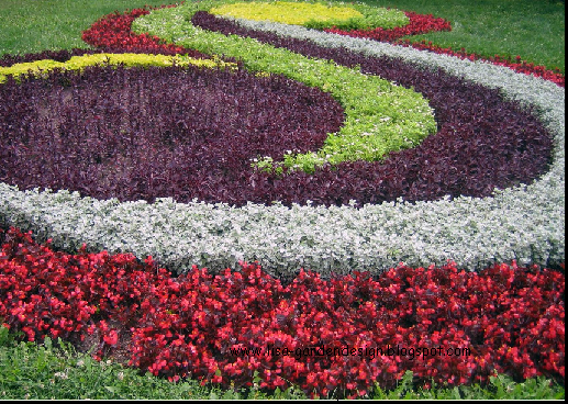 Garden Design: Flower garden design