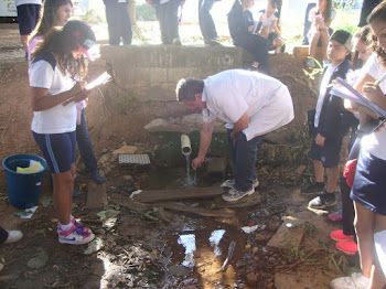 A nascente do Ribeirão