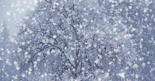 A Beginner’s Guide To Setting Up A Kitchen (in New York!!)