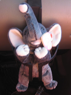 Lucky Little Elepahnt onelovejourney2012, one love journey, 1lovejourney, elephant in a cup holder, how do you eat an elephant