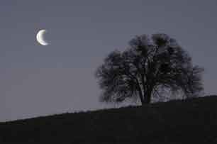 Night Time Scene
