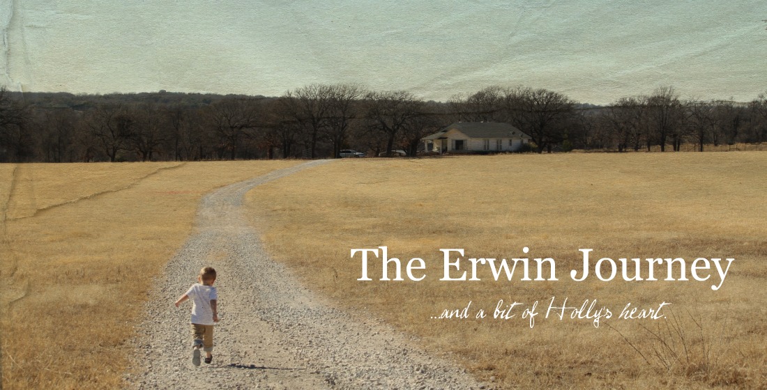 The Erwin Journey