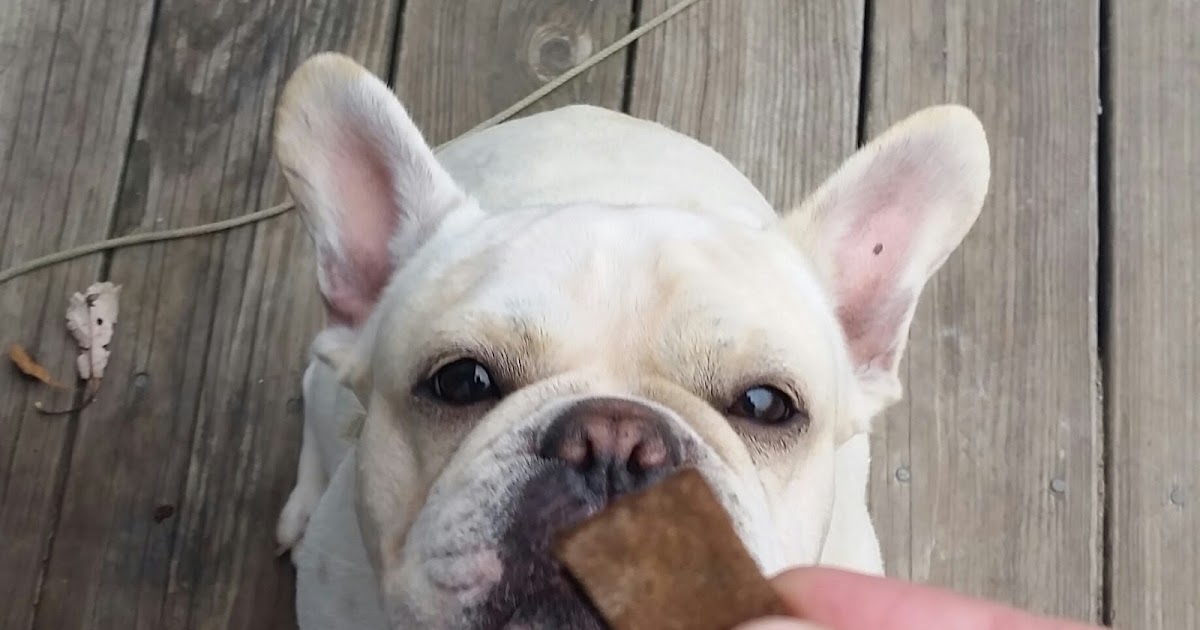 Vodka And A Glue Gun Pumpkin Buckwheat Dog Treats (Grain Free, Gluten