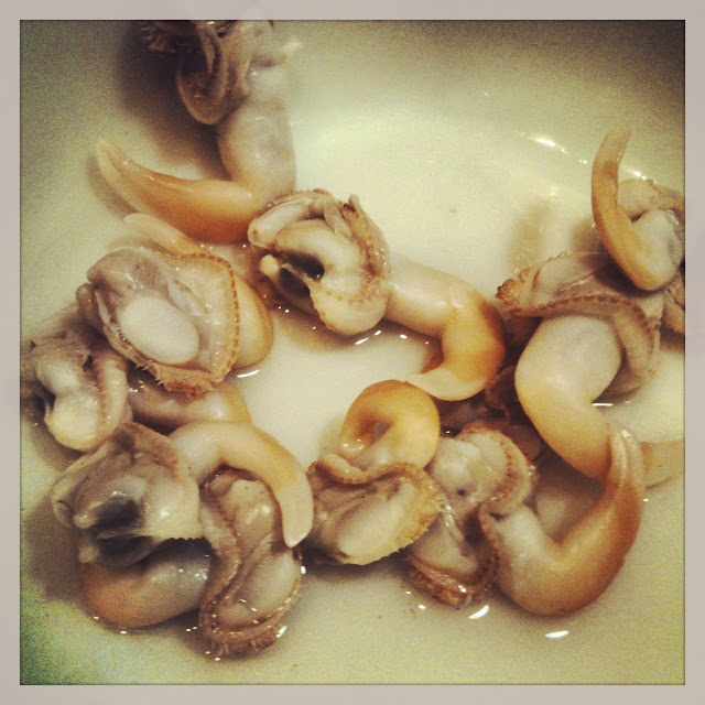 Saturdays with Maggy Clam Digging in Oregon