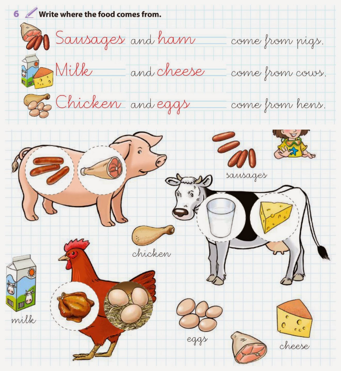 Figuras De Alimentos De Origen Vegetal | apexwallpapers.com