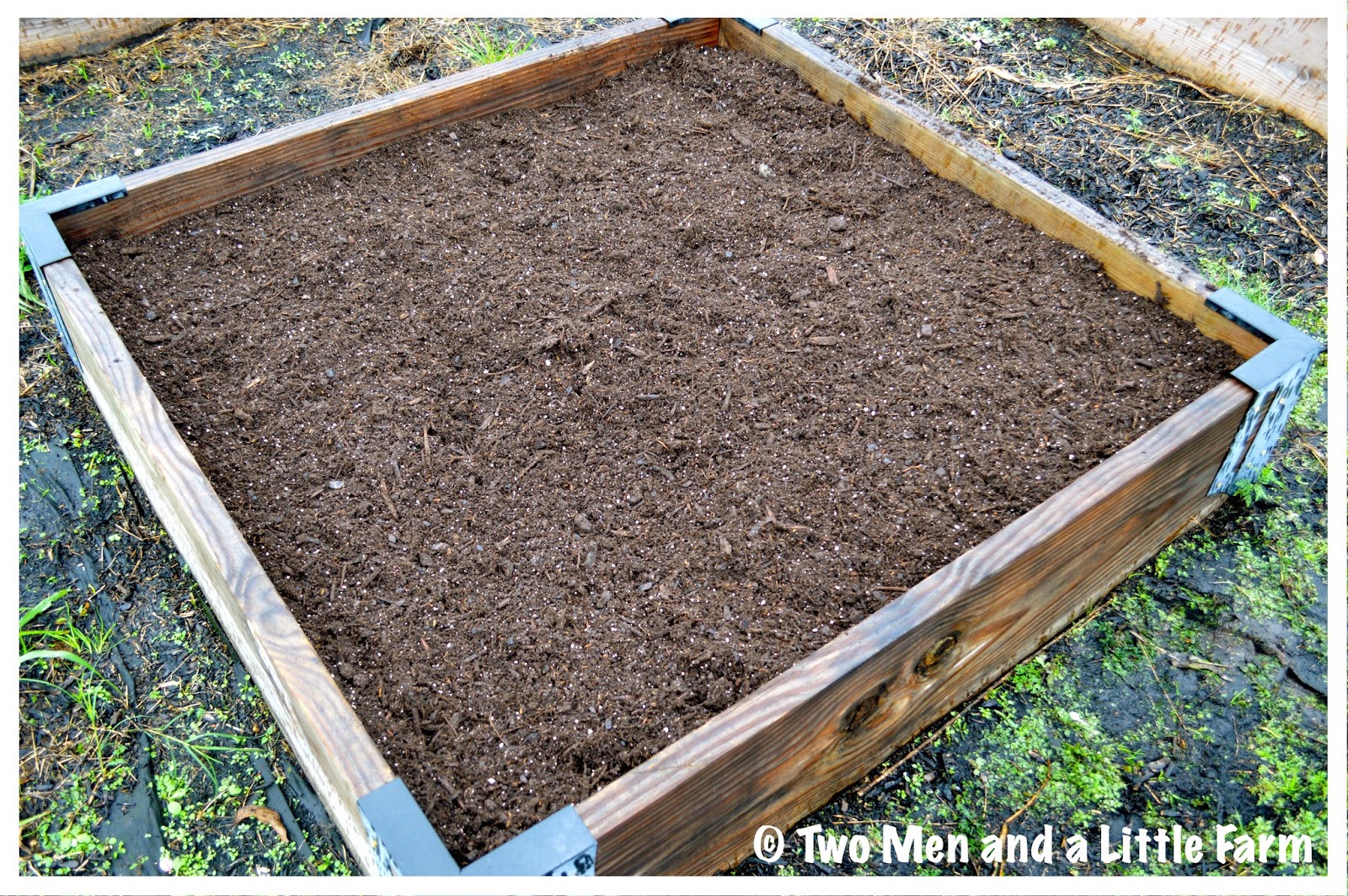 Two Men and a Little Farm COVERING RAISED BEDS FOR WINTER