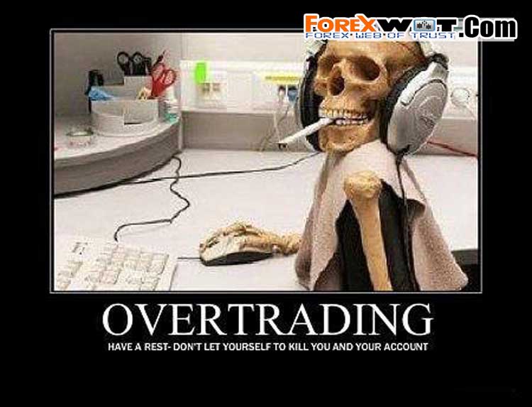 how to be successful forex trader meme