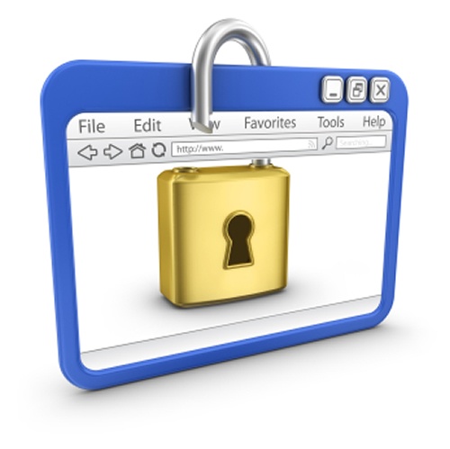 The Holton Warbler: Bitdefender 2013 - Safepay: Secure ...