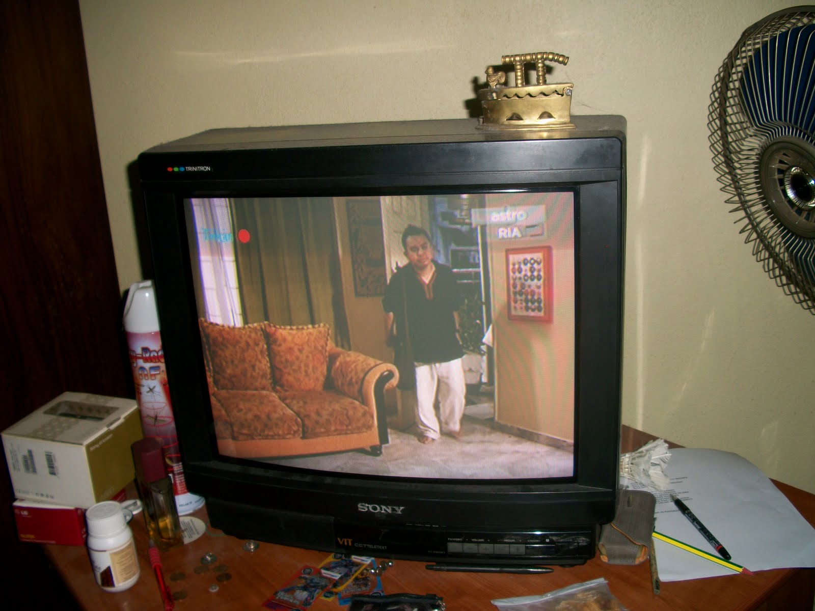 collectible items Preowned SONY 21 inches TV