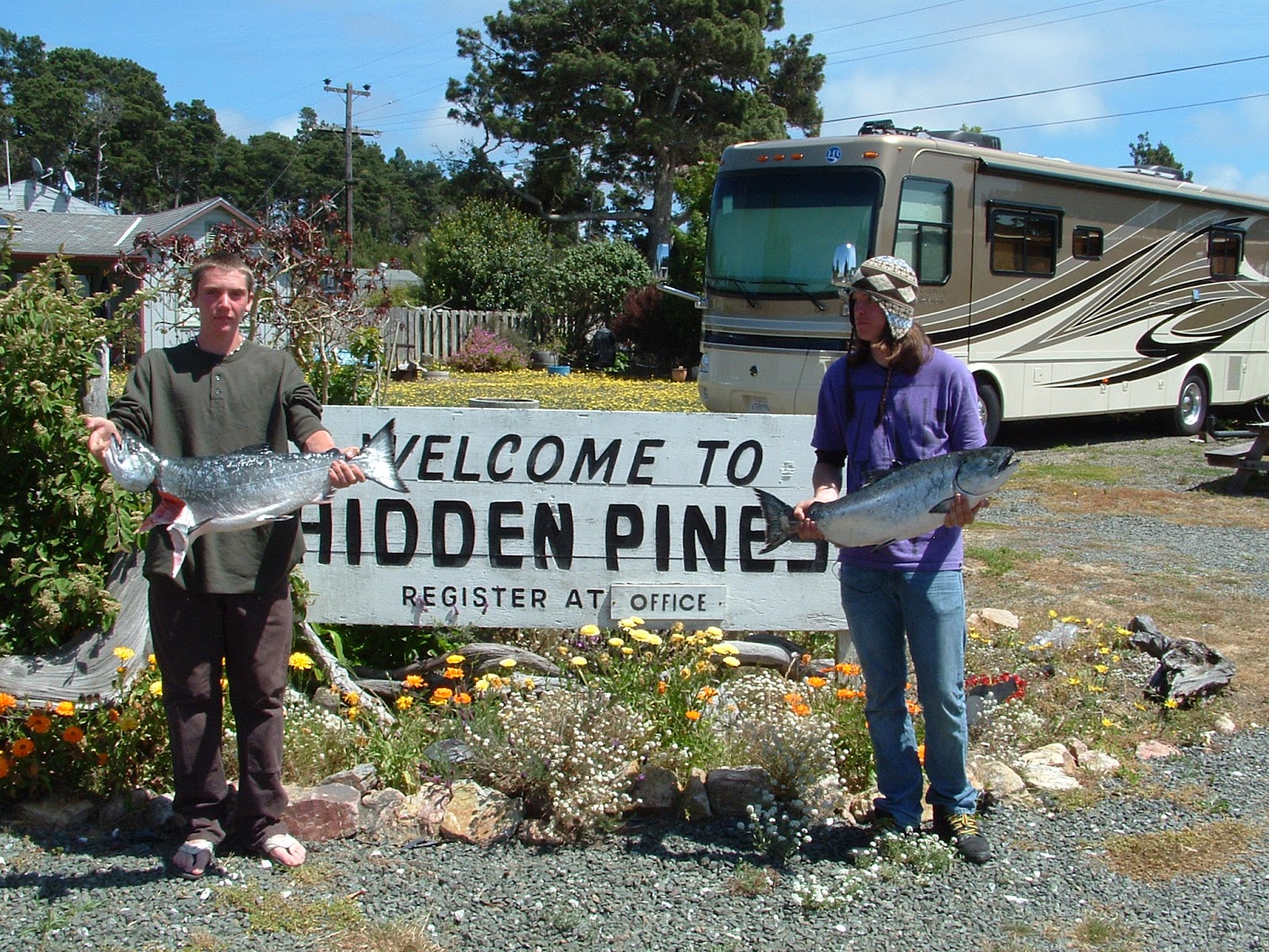 Hidden Pines RV Park Campground - Fort Bragg California : Fort Bragg
