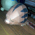 suka papercraft?sama berarti :D