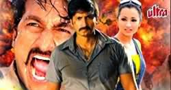 Phir Ek Most Wanted Hindi Movie Download Phir Ek Most Wanted Hindi Movie Download