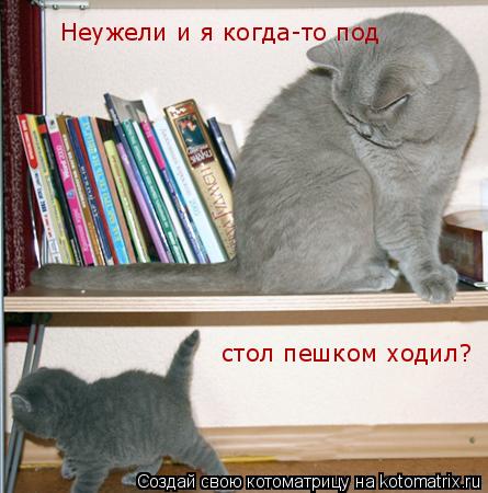 Пешком под стол стих Пешком под стол стих