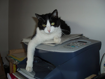 printer paused printer paused