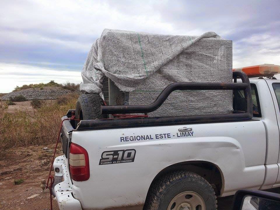 Piedra OnLine: Un Ciervo de nuevo en su habitat