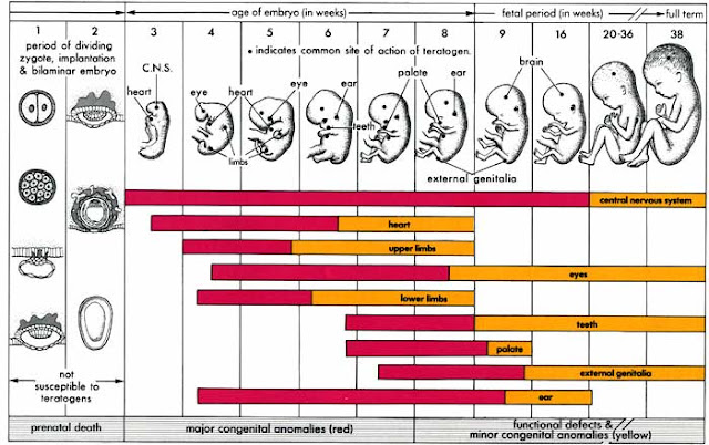 download time asymptotics for some degenerate models of evolution of systems with an