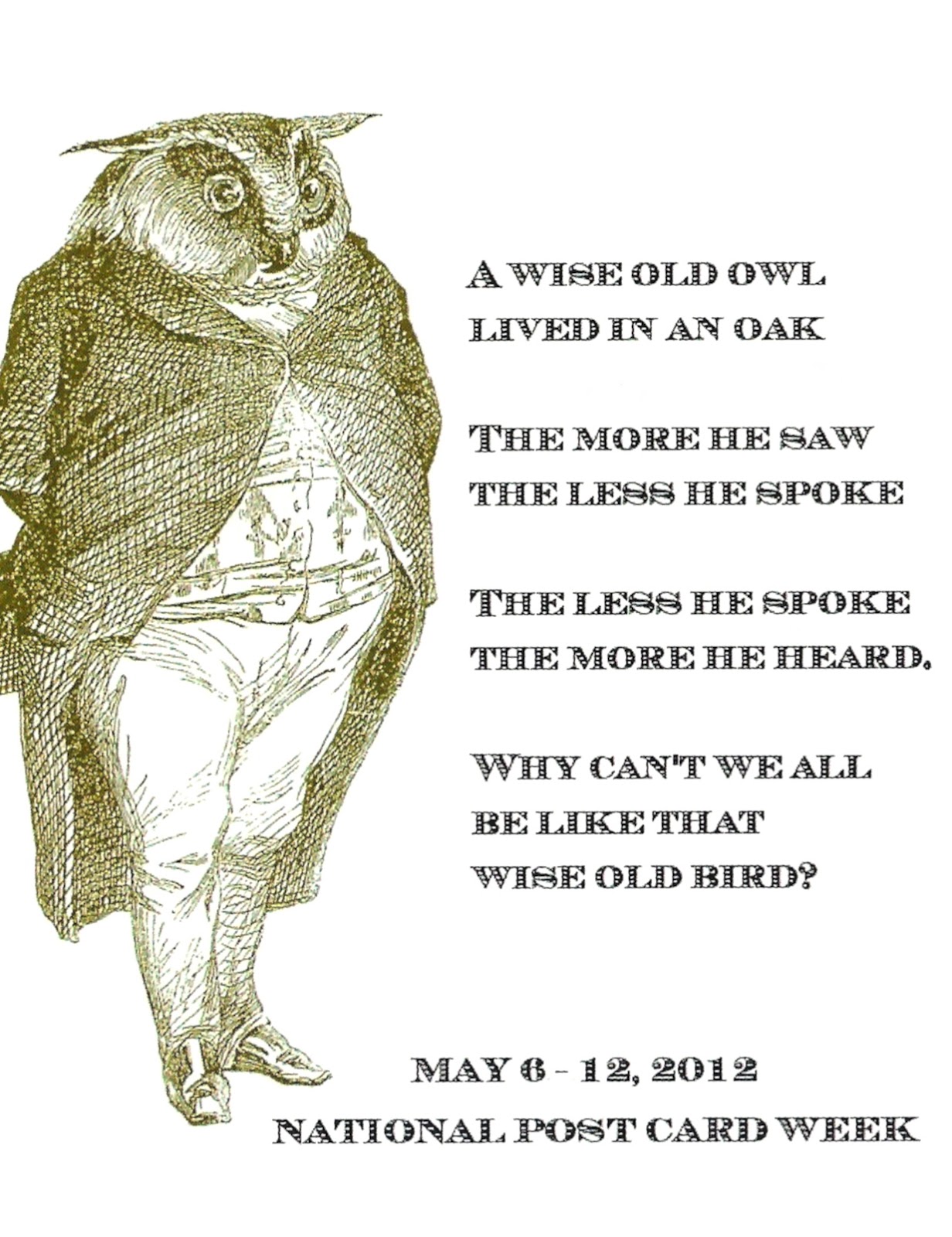 My Favorite Animal Postcards A Wise Old Owl