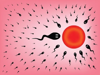 Sperm Count badhane ke tips Sperm Count