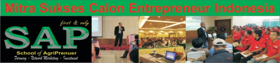Mitra sukses calon entrepreneur Indonesia