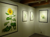 土蔵では野村陽子・植物細密画展(ボタニカルアート)特別展