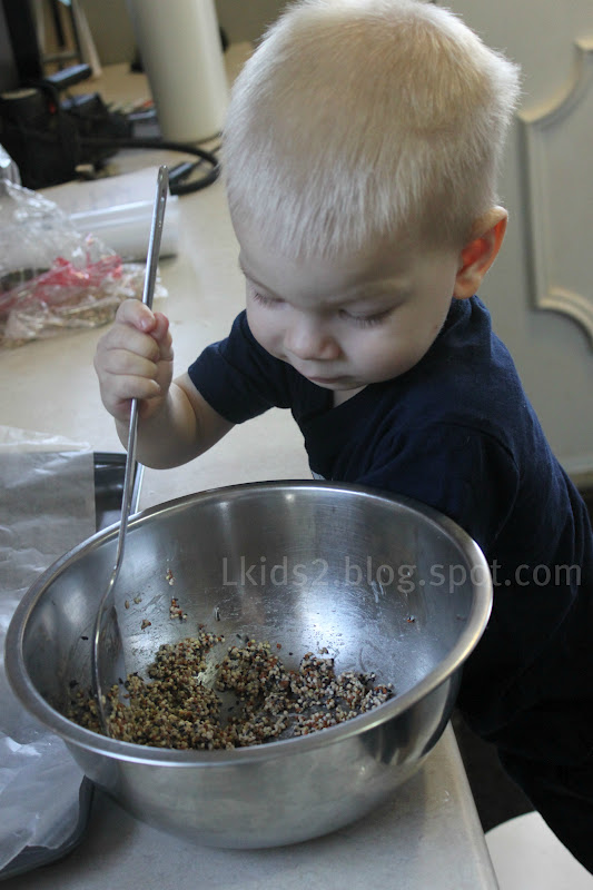 daisysnu DIY outdoor bird treats