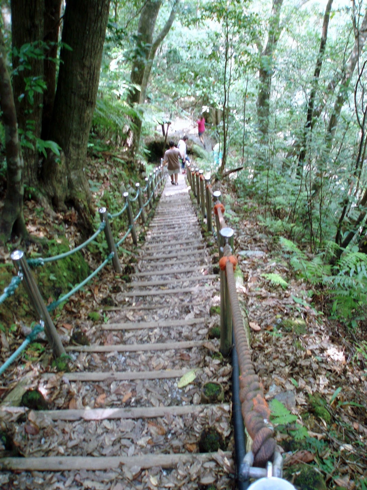 Okinawa Travel Guide Guide to Hiking Hiji Falls in Okinawa