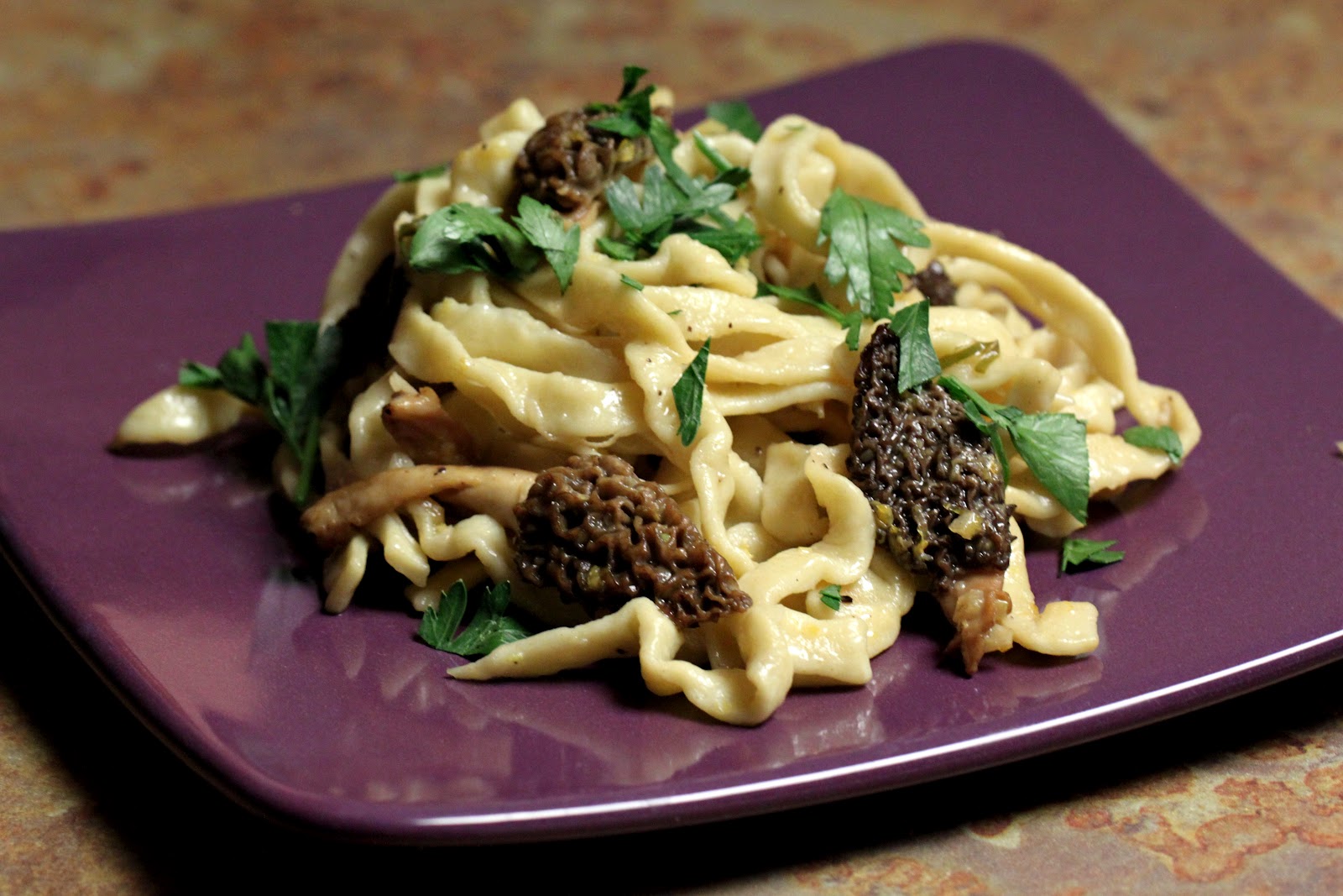 Badger Kitchen Morel Mushroom Fettuccine