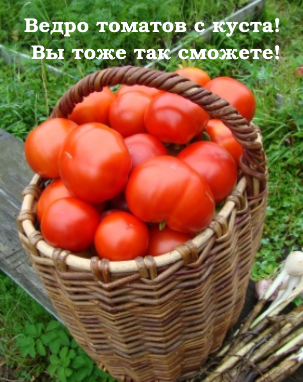 Открытка с 1 месяцем мальчику 21 Открытка с 1 месяцем мальчику 67