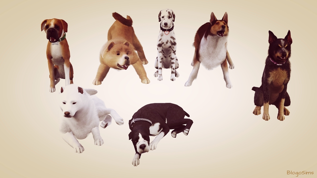 Best Daily Sims 3 S3 Large Dog Poses by BlogoSims