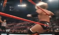 [Amistoso] Bray Wyatt Vs Daniel Bryan Vs Triple H Triple+H+Knee+Facebuster
