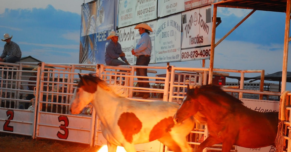 Terrell Daily Photo Rodeo gets off to a hot start