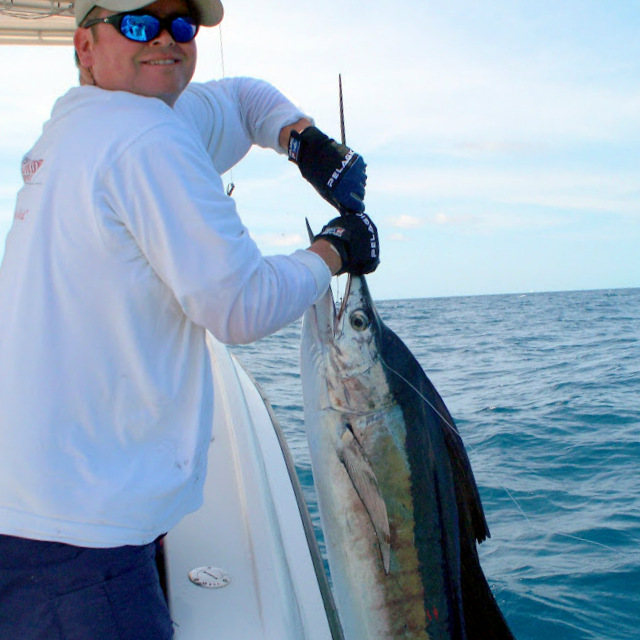 King Mackerel Bycatch