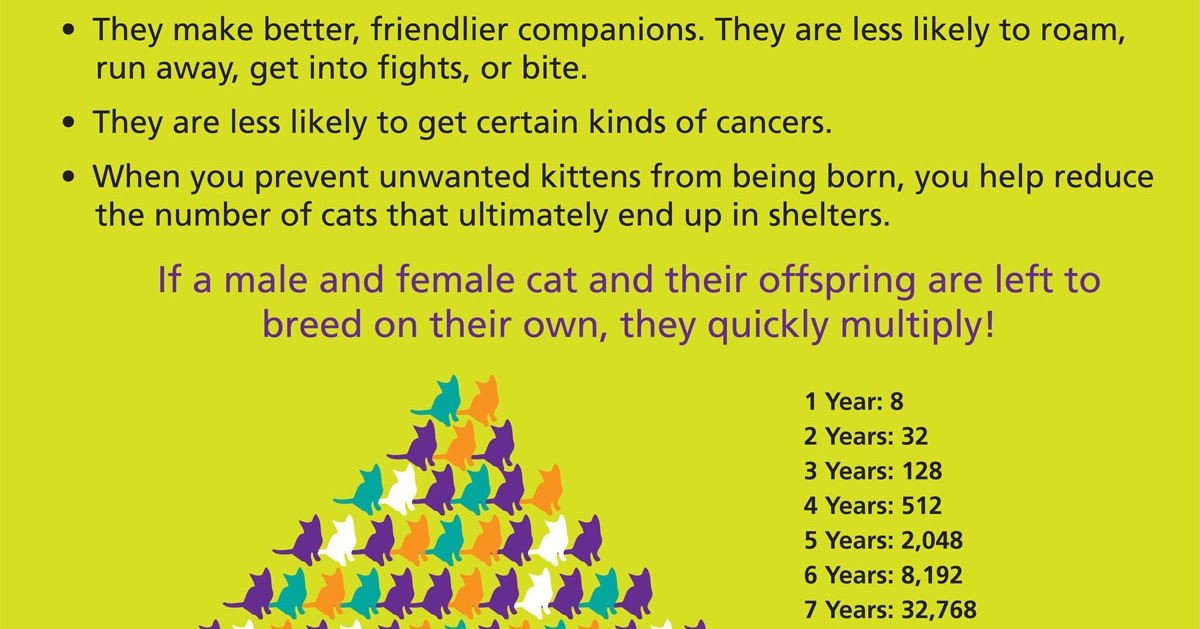 How Many Dogs And Cats Are Born Per Minute How Many Dogs And Cats Are Born Per Minute
